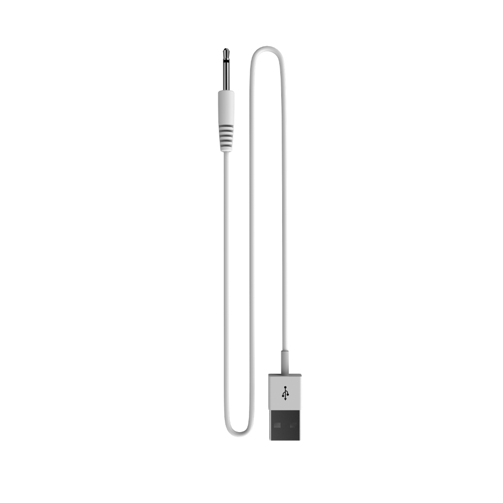 Pin USB Charger